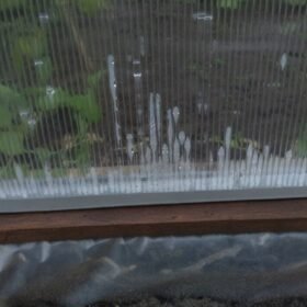 Laikykite šiltnamį sausą ir derlių sveiką: atsiminkite šiuos kovos su kondensatu metodus